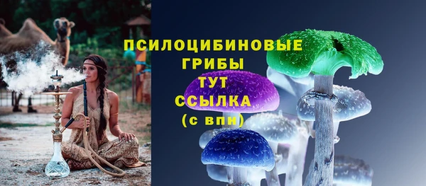 дживик Беломорск