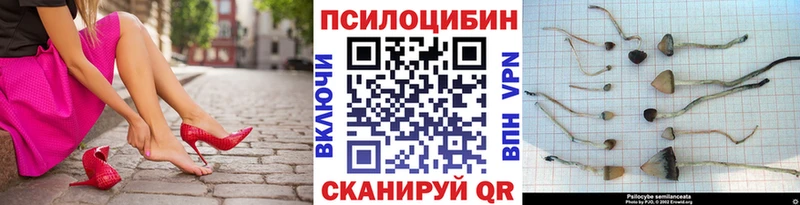 Галлюциногенные грибы GOLDEN TEACHER  как найти наркотики  Славгород 